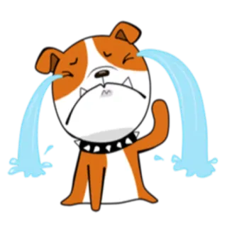 😭 cane, piangere, triste, bulldog, emozione, lacrime, cartone animato telegram sticker