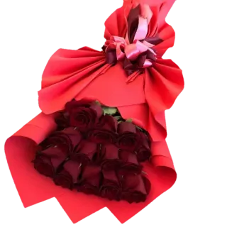 💐 Strauß, Rosen, Rot, Blumen, Geschenk, Feier, Romantik telegram sticker