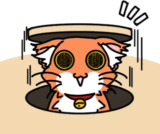 📦 Katze, Cartoon, Tier, Überraschung, süß whatsapp sticker