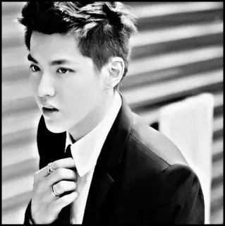 ♠️ Kris Wu Kris Wu, Attore, Cantante, Abito, Uomo, Ritratto, Bianco e nero, Celebrità telegram sticker