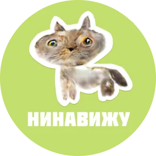 😁 НЕНАВИЖУ gatto, animale, carino, adesivo, odio, russo, animale, gatto whatsapp sticker