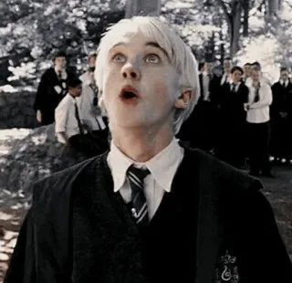 🐾 Draco Malfoy Harry Potter 드레이코 말포이, 톰 펠튼, 해리 포터, 마법사, 슬리데린, 놀란 telegram sticker