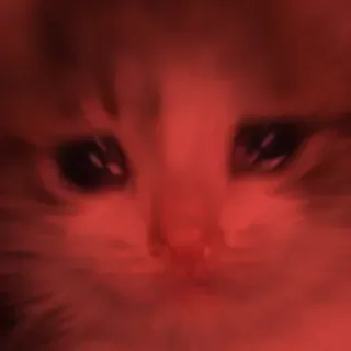 😭 cat, red, blurry, meme telegram sticker