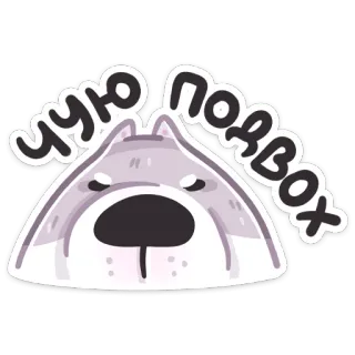 🤨 Чую подвох dog, russian, animal, text, suspicious telegram sticker