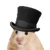 🎩