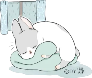 🌙 kot, śpiący, poduszka, słodki, zwierzę, kreskówka, relaksujący telegram sticker