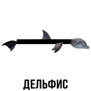 🐬 ДЕЛЬФИС delfino, дельфис, animale marino, mammifero, oceano telegram sticker