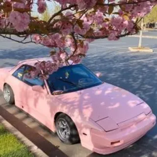 👀 auto rosa, fiore di ciliegio, Nissan 240SX, JDM, auto sportiva, auto, veicolo telegram sticker