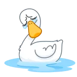 ๐ญ duck, crying, sad, animal, bird whatsapp sticker