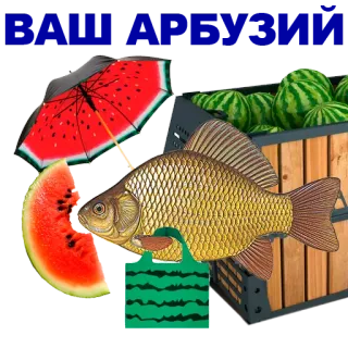 🐠 pastèque, poisson, nourriture, fruit, parapluie whatsapp sticker