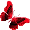 🦋