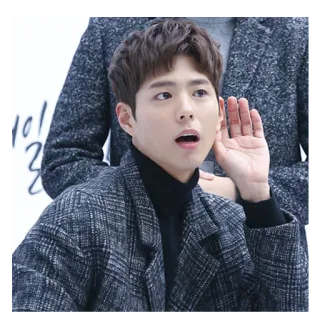 👂 Park Bo-gum Coréen, Acteur, Célébrité, Homme, Portrait telegram sticker