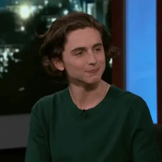 💎 Timothée Chalamet người nổi tiếng, diễn viên, chân dung, nam telegram sticker