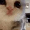 😱