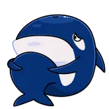 🦈 orca, ballena, dibujos animados, animal, criatura marina, lindo telegram sticker