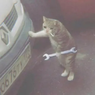 🐈 gato, chave inglesa, mecânico, animal, engraçado, humor telegram sticker