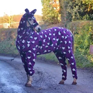 🐴 caballo, animal, morado, pijama, gracioso, lindo telegram sticker
