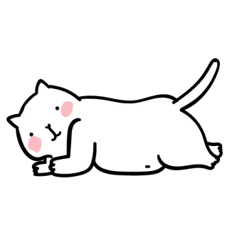 🎽 chat, chat blanc, mignon, chat dessin animé, animal telegram sticker