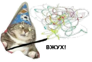 🌚 cat, wizard, magic, animal, sticker, funny, cute telegram sticker