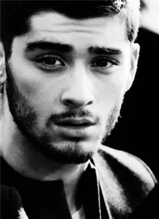 👀 Zayn Malik singer, portrait, man, celebrity, Zayn Malik telegram sticker