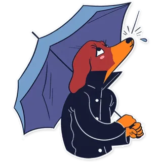 ☔ anjing, payung, jas hujan, hujan, cuaca telegram sticker