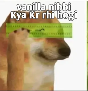 👀 vanilla nibbi
Kya Kr rhi hogi doge, meme, testo, vanilla, nibbi, righello telegram sticker