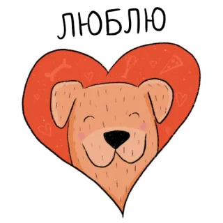❤️ chien, coeur, mignon, animal, animal de compagnie, amour whatsapp sticker