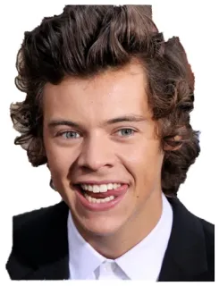😋 Harry Styles harry styles, musician, singer, celebrity, portrait telegram sticker