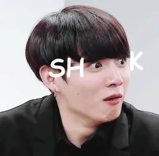 😶 SH K telegram sticker