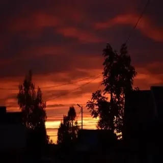 🙈 sunset, sky, dusk, nature, landscape, silhouette, evening, clouds telegram sticker