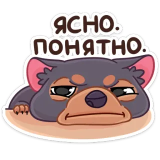 😐 ЯСНО. ПОНЯТНО. hund, meme, russisch, transparent, verstanden, aufkleber, tier whatsapp sticker