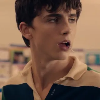 😦 Timothée Chalamet актер, портрет, леденец, знаменитость whatsapp sticker