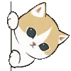 🐱