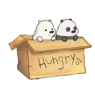 🐼 Hungry ursos, desenho animado, faminto, caixa, fofo, animais telegram sticker
