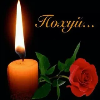 😎 Похуй... candela, rosa, cimitero, russo, offensivo telegram sticker