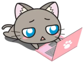 💻 cat, animal, computer, laptop, cartoon, cute whatsapp sticker