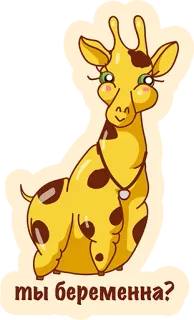 👌 ты беременна? girafa, grávida, animal, fofo, pergunta, russo, adesivo telegram sticker