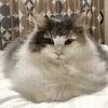 💨