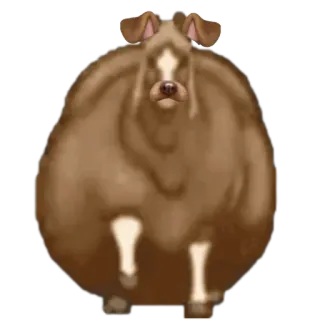 🤩 dog, cute, pet, animal, brown, cartoon telegram sticker