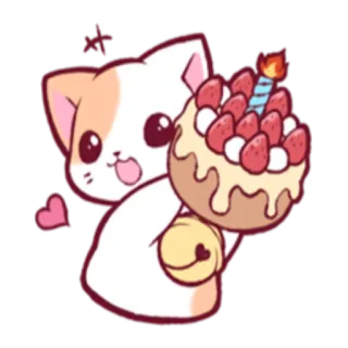 🎂 Katze, Kätzchen, Geburtstag, Kuchen, Erdbeeren, süß, kawaii, Feier whatsapp sticker