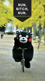🚴‍♂️ RUN, BITCH, RUN. niedźwiedź, rower, tekst, obraźliwe telegram sticker