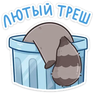 🤦‍♀️ ЛЮТЫЙ ТРЕШ szop pracz, kosz na śmieci, śmieszne, słodkie, zwierzę, śmieci, kontener na śmieci, odpady whatsapp sticker