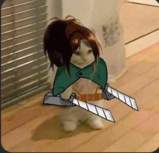 ⚔️ Attack on Titan cat, attack on titan, anime, funny, pet, animal, meme, cosplay telegram sticker
