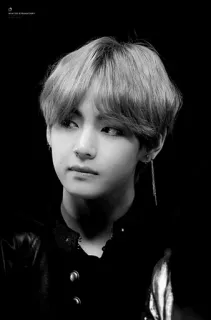 🌚 V V, BTS, K-Pop, Sänger, Idol, Musik, Asiatisch telegram sticker