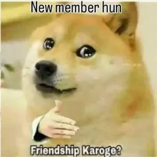 🌟 Doge New member hun Friendship Karoge? doge, shiba inu, dog, meme, friendship, welcome, humor telegram sticker