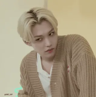 ๐ง Felix kpop, stray kids, idol, singer, male, portrait telegram sticker