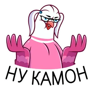 😕 НУ КАМОН duif, vogel, cartoon, boos, geïrriteerd whatsapp sticker