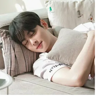 😴 homme, sommeil, dormir, oreiller, canapé, Cha Eun-woo, beau whatsapp sticker