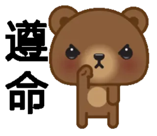 👌 urso, fofo, animal, bravo, desenho animado whatsapp sticker