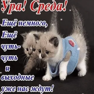 3️⃣ Ура! Среда! Ещё немного, Ещё чуть-чуть и выходные уже нас ждут! whatsapp sticker